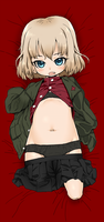 20160127kachu.png