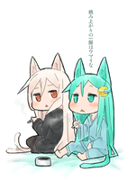 201706022ngtk.jpg